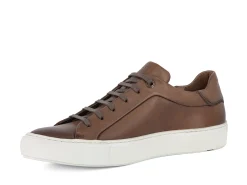 Sale Sneakers