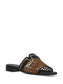 Hot Women Slides