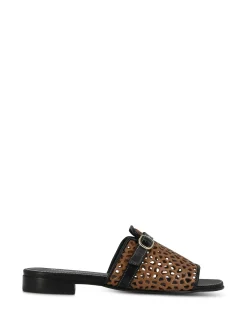 Hot Women Slides