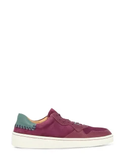 Women Sneakers
